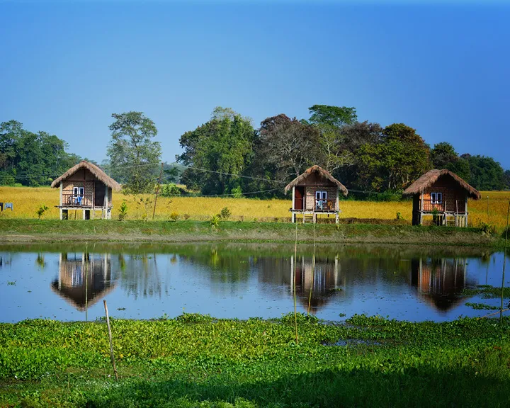 Majuli Island