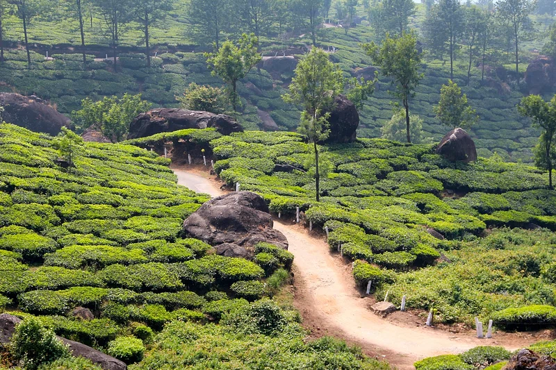 travel agency | Taxi Service Assam