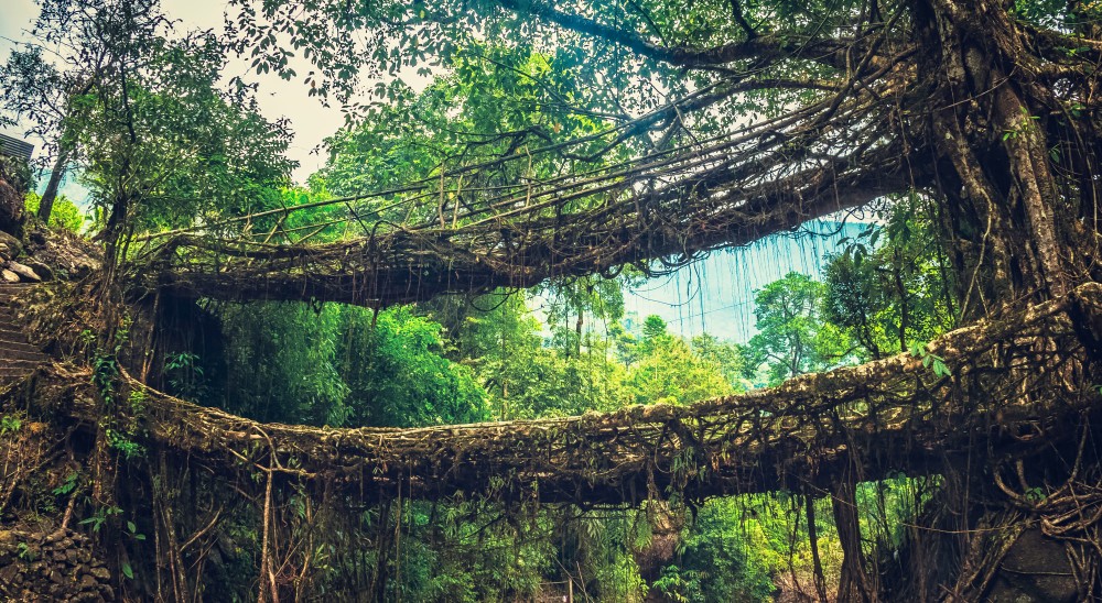 Mesmerizing Meghalaya Tour
