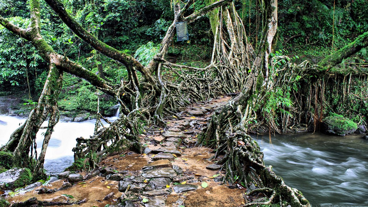 Shillong Cherrapunji Mawlynnong Tour